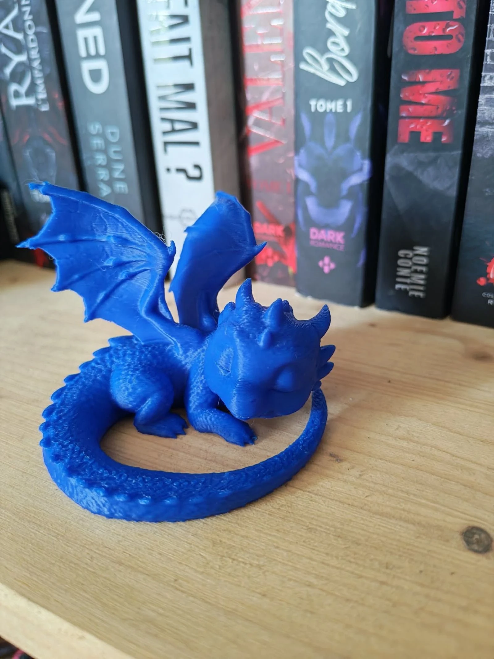 Dragon endormi 